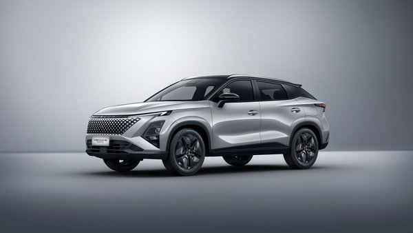 AVIATON SILVER / CZARNY DACH